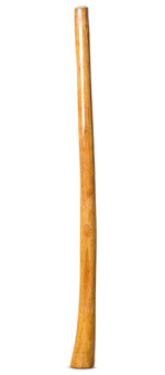 Gloss Finish Flared Didgeridoo (TW1267)